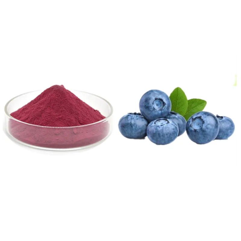 Organic Blueberry Fruit Powder Manufacturer - Freeze Dried Blueberry Extract Powder OEM/ODM Private Label