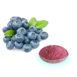 Organic Blueberry Fruit Powder Manufacturer - Freeze Dried Blueberry Extract Powder OEM/ODM Private Label