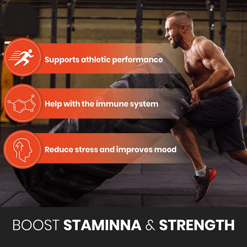 Cherry Blossom Powder Factory - 100% High Quality Pure Powder Sakura Powder