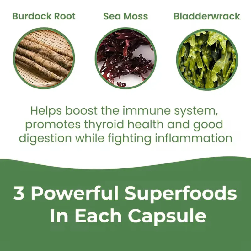 Sea Moss Capsules Manufacturer - OEM Hot Sale Organic Irish Sea Moss for Skin Hair Joints