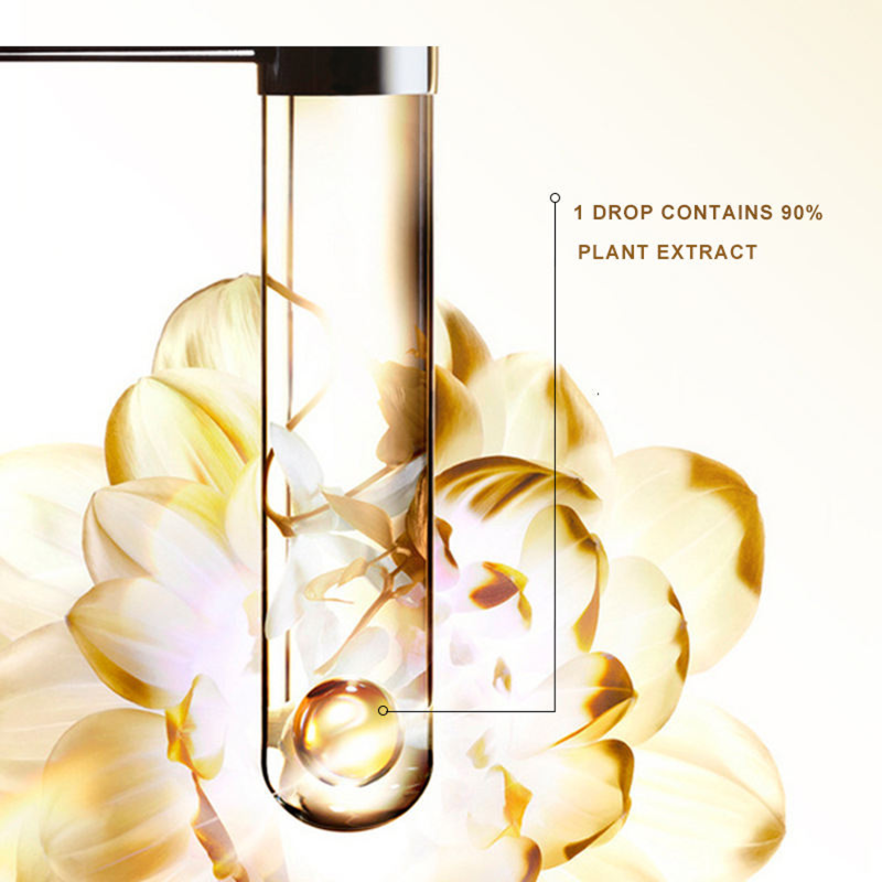 Weight Control Supplement Supplier - Winstown Custom Instant Green Coffee Cream Chocolate Box