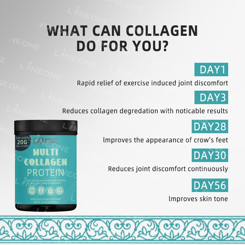 Whey Protein Powder Factory - Wholesale Multi-Flavored with Collagen Private Label Vitamins Drink