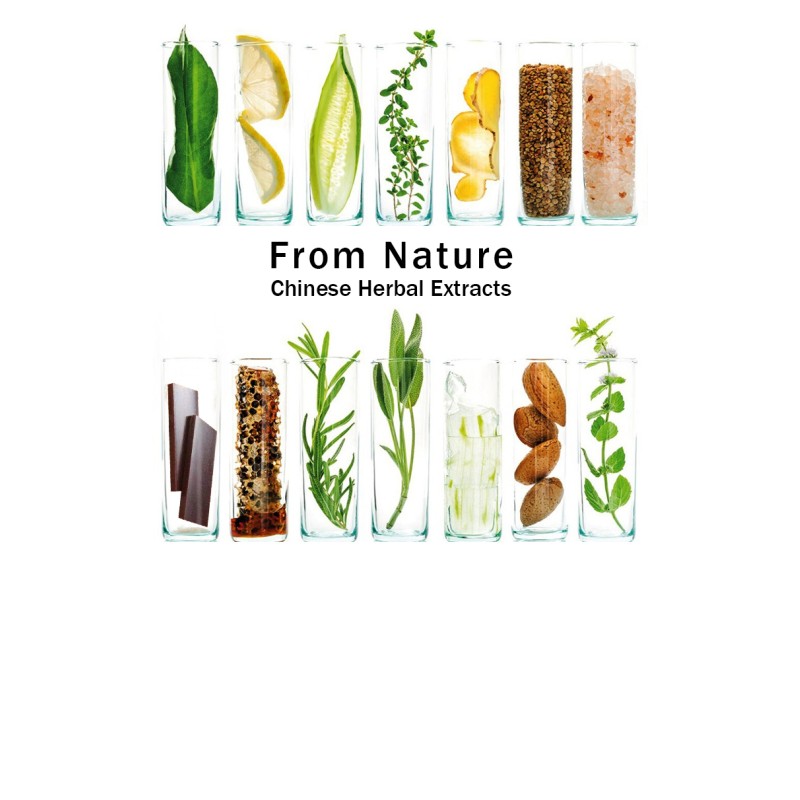 Pre-Workout Powder Manufacturer - OEM Pre-Workout Creatine Monohydrate Powder Energy Supplement