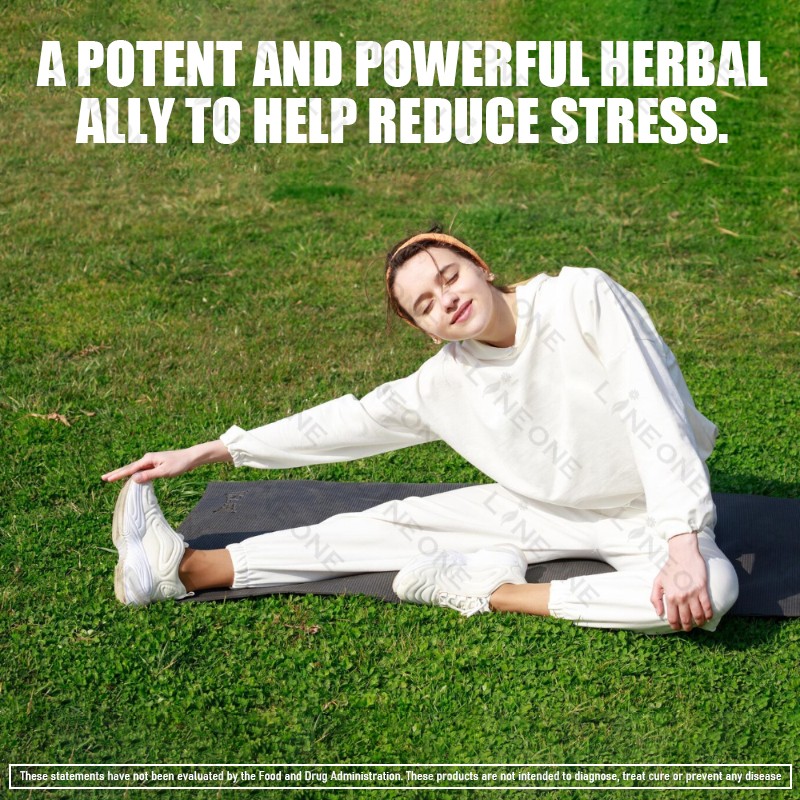 Magnesium Supplement Manufacturer - Wholesale Pure Organic Magnesium Ashwagandha Root Extract Capsules