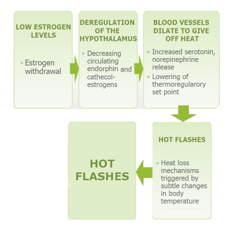 Menopause Supplements Manufacturer - Menopause Herbal Supplements PMS Capsules Hot Flash Support