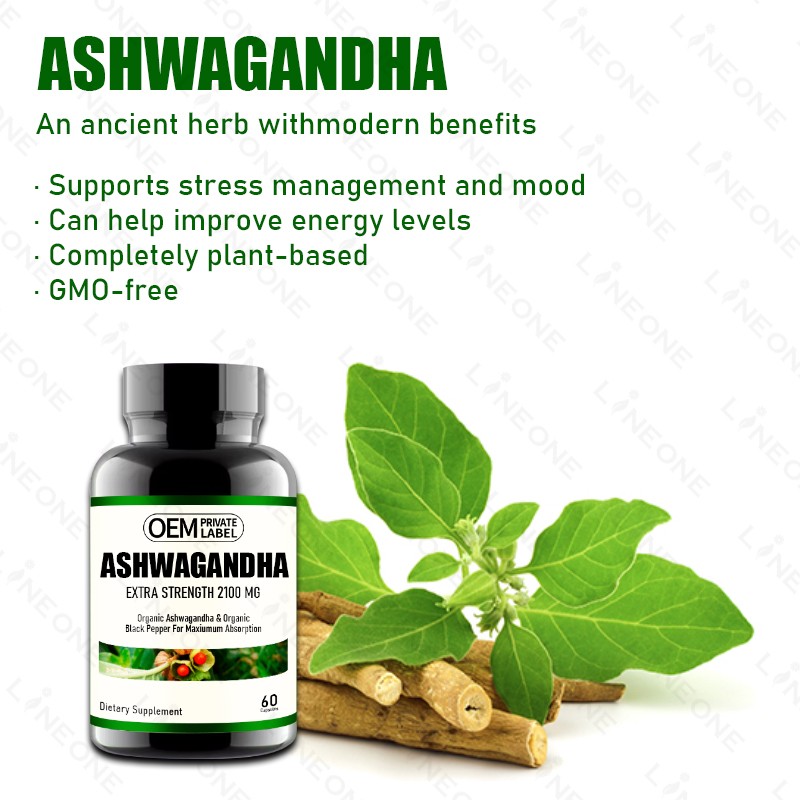 Ashwagandha Capsules Supplier - Linnuo Ashwagandha Vitamin C Herbal Supplements Capsules 60 Pills Bottle