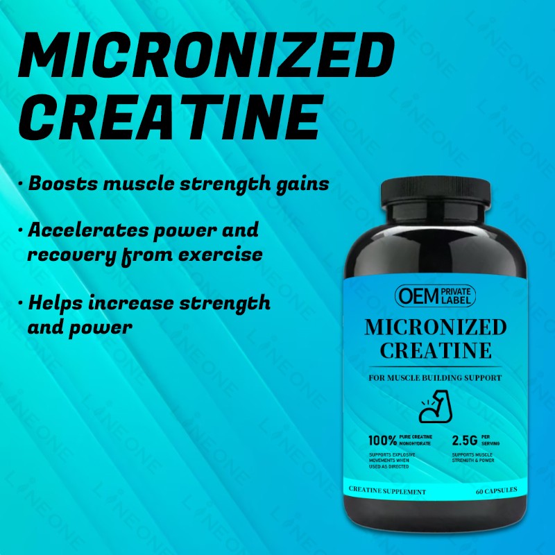 Creatine Capsules Factory - Private Label Creatine Capsules Universal 300g Protine for Men Platinum