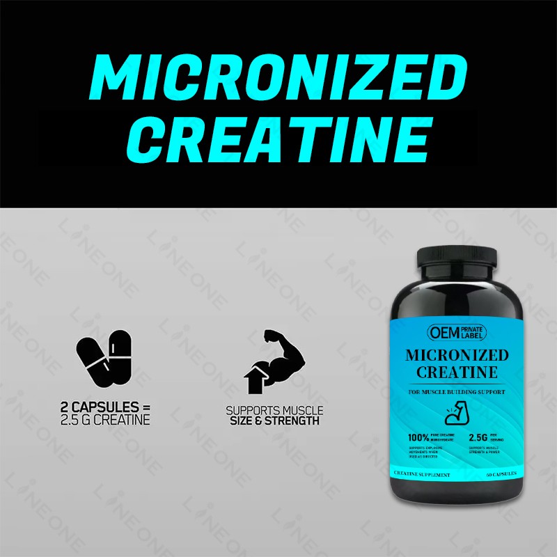 Creatine Capsules Factory - Private Label Creatine Capsules Universal 300g Protine for Men Platinum
