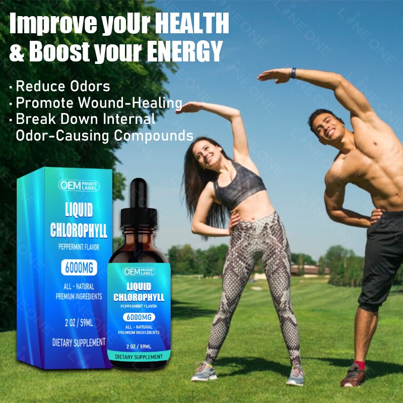 Chlorophyll Drops Manufacturer - Customized Extreme 6000mg Organic Vegan Chlorophyll Drops Peppermint