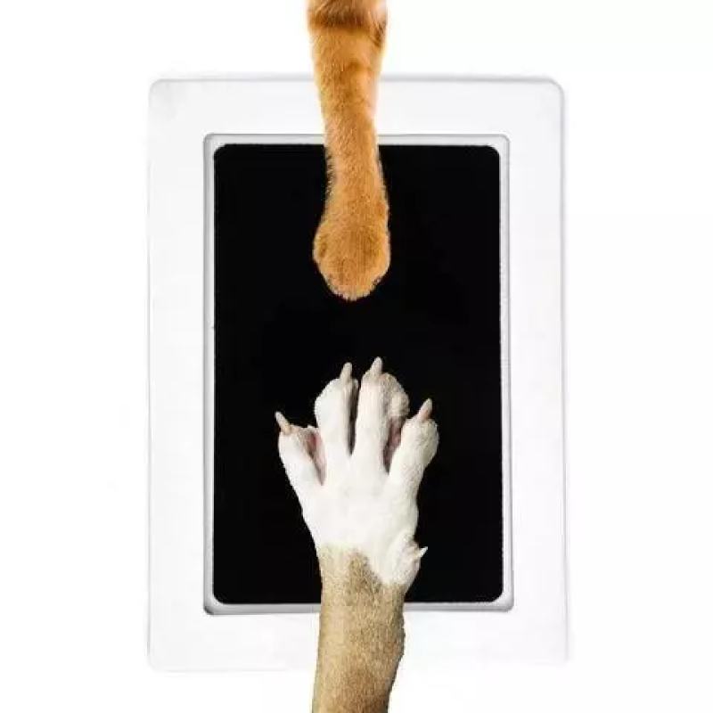 Inkless Paw Print Pad Factory - New Inkless Paw Print Pad Pet Photo Sharing Props Baby Handprints