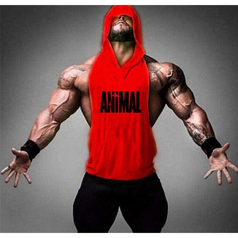 Gym Vest Supplier - Hot Sale New OEM Custom New Design Mens Gym Vest Wholesale Bodybuilding Tank