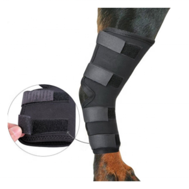 Dog Knee Brace Supplier - Custom Hot Selling Avoid Injuries Sport Protection Neoprene Dog Leg Sleeve Canine