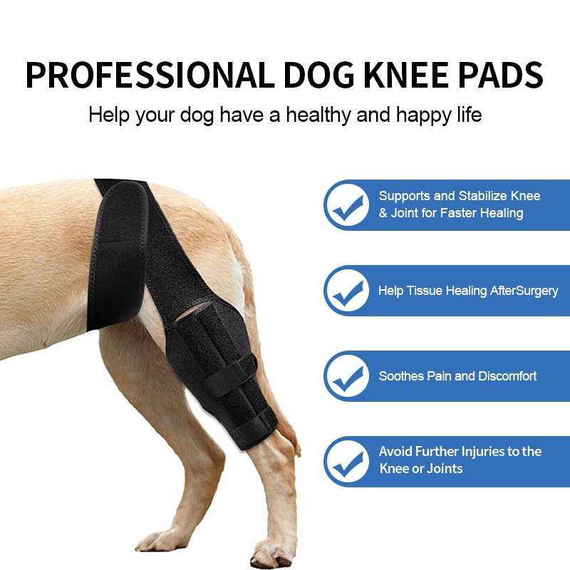 Dog Knee Brace Manufacturer - Hot Selling Adjustable Neoprene Pain Relief Dog Knee Leg Brace with 2 Support Bars