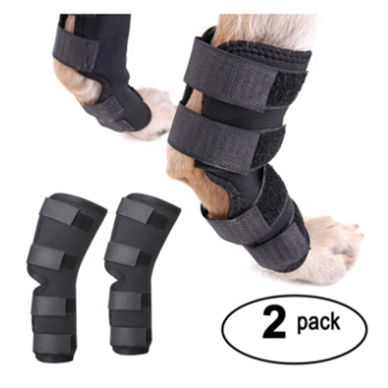 Dog Knee Brace Supplier - Custom Hot Selling Avoid Injuries Sport Protection Neoprene Dog Leg Sleeve Canine