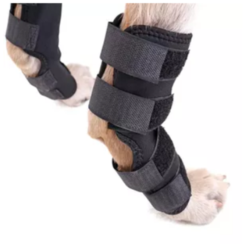 Dog Leg Brace Manufacturer - OEM Small Short Legs Protector Canine Rear Hock Knee Support with Reflective Straps