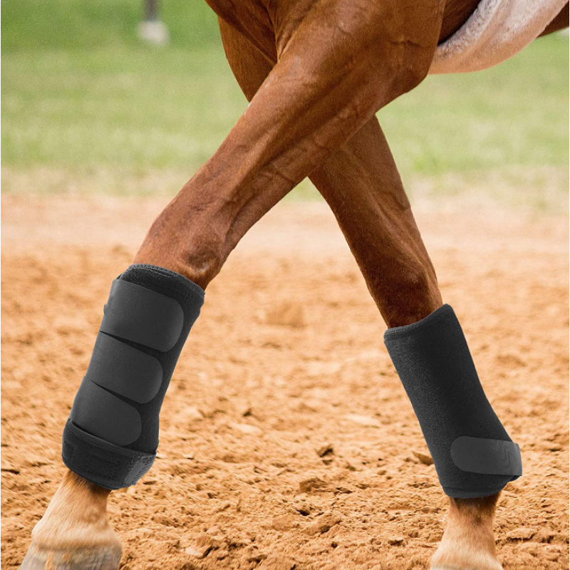 Horse Boots Manufacturer - Neoprene Adjustable Tendon Tissue Legs Protection Support Bandage