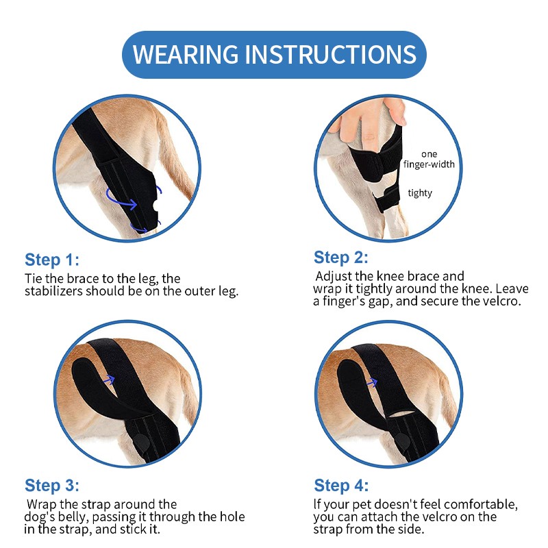 Dog Knee Brace Manufacturer - Hot Selling Adjustable Neoprene Pain Relief Dog Knee Leg Brace with 2 Support Bars