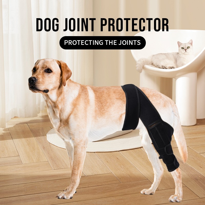 Dog Knee Brace Manufacturer - Hot Selling Adjustable Neoprene Pain Relief Dog Knee Leg Brace with 2 Support Bars