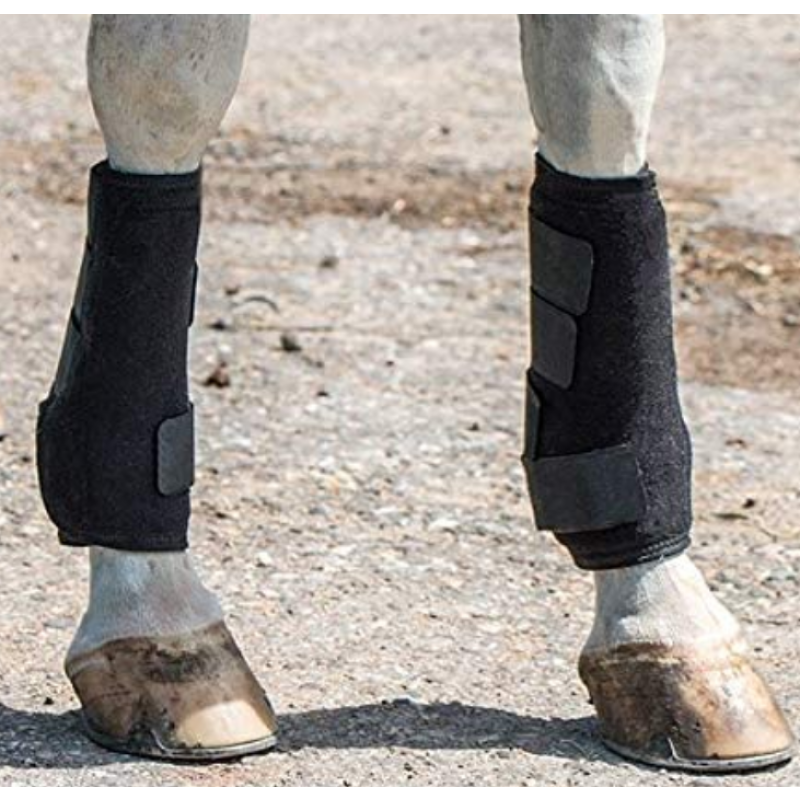 Horse Boots Manufacturer - Neoprene Adjustable Tendon Tissue Legs Protection Support Bandage