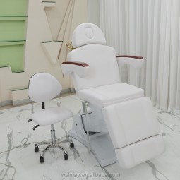 Salon Chairs Manufacturer - Portable Synthetic Leather Hair Salon Chairs for Sale Beauty Furniture