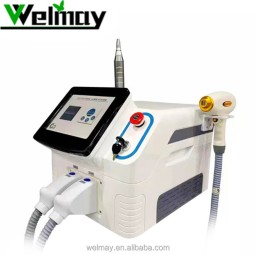Laser Hair Removal Equipment Supplier - 2 in 1 Diode Laser Picosecond Tattoo Removal Hair Loss System