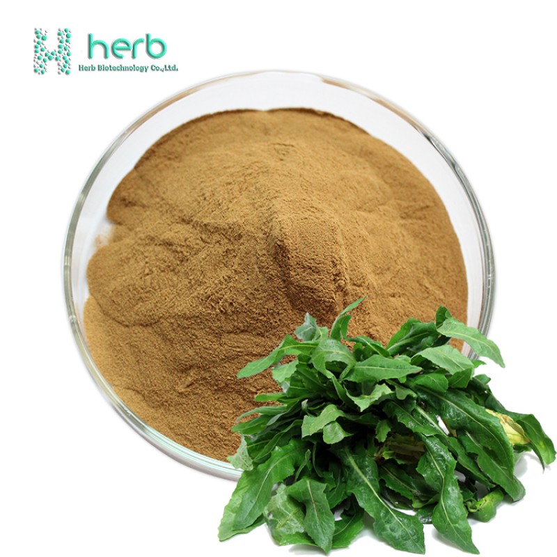 Lactuca Virosa Extract Powder Manufacturer - OEM/ODM Factory Supply Bulk Price 10:1 Wild Lettuce Extract