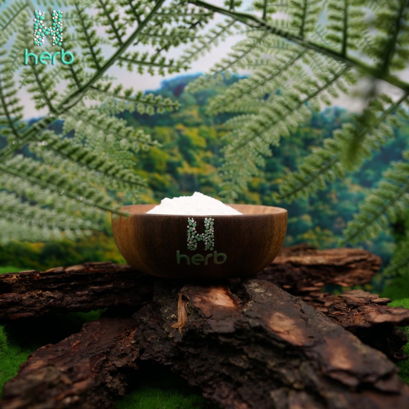 Polygonum Cuspidatum Extract Manufacturer - OEM/ODM Natural Herbal Extract 98% Polydatin