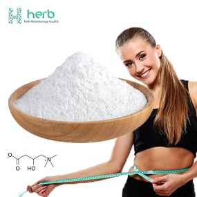 L-Carnitine Powder Manufacturer - OEM/ODM Best Price Pure L Carnitine Supplement