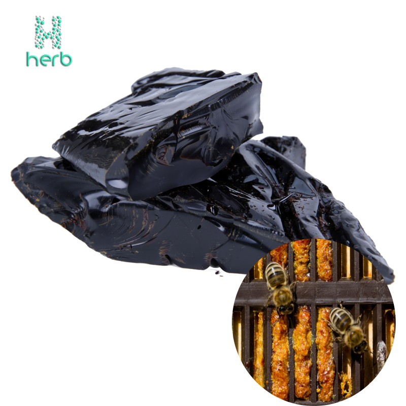 Bee Propolis Powder Manufacturer - OEM/ODM 100% Natural Pure Extract with High Flavonoids