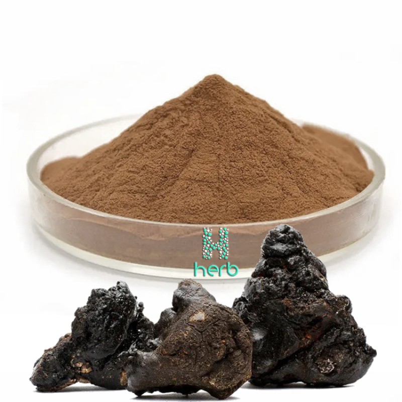 Shilajit Extract Powder Manufacturer - OEM/ODM Wholesale Cheap Price 100% Natural 50% Fulvic Acid Food Grade