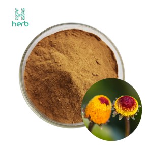 Spilanthes Acmella Extract Powder Manufacturer - OEM/ODM Factory Supply 10:1 20:1 Acmella Oleracea Supplement
