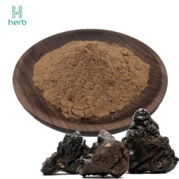 Shilajit Extract Powder Manufacturer - OEM/ODM Wholesale Cheap Price 100% Natural 50% Fulvic Acid Food Grade