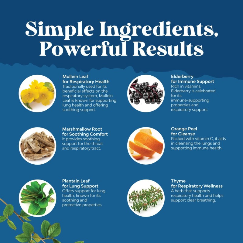 Lung Cleanse Drops Manufacturer - OEM/ODM Herbal Supplement with Marshmallow Root & Plantain Leaf for Respiratory Health