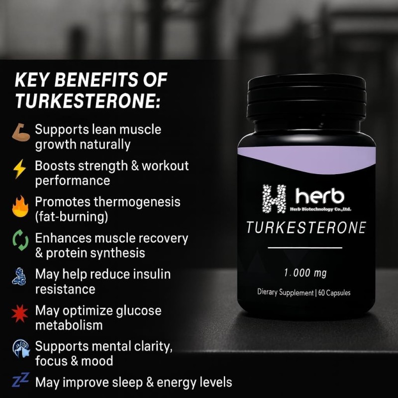 Turkesterone Capsules Manufacturer - OEM/ODM High Potency Supplement with Maca Root & Tribulus Terrestris for Muscle Growth Energy & Memory