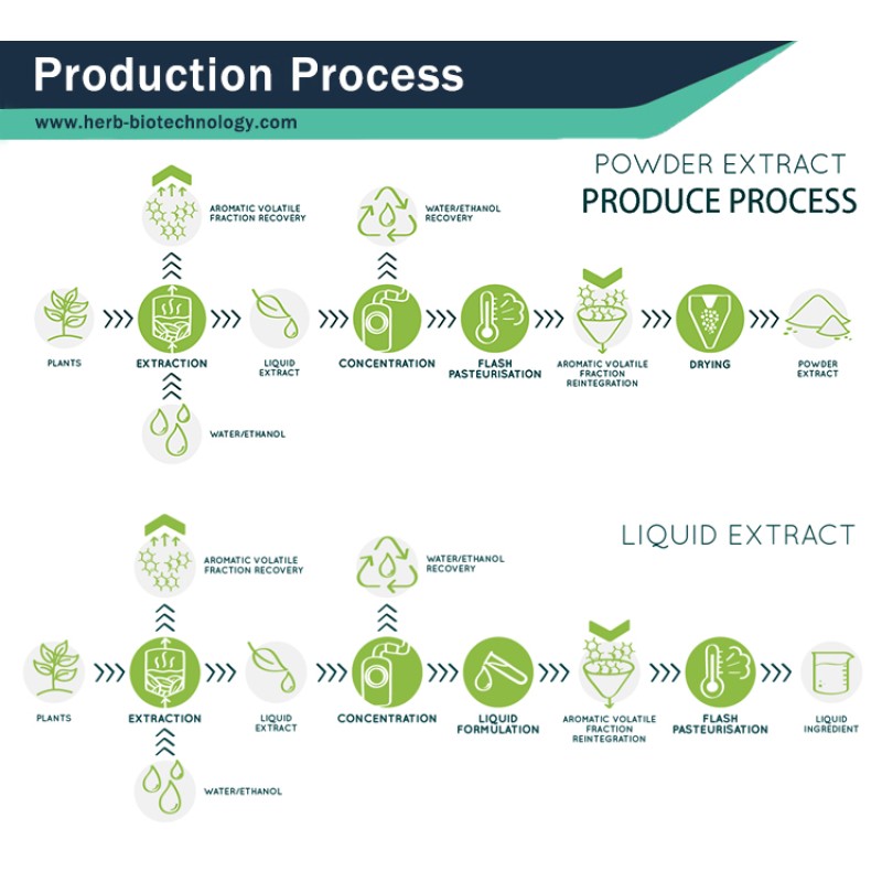 Organic Spirulina Powder Manufacturer - OEM/ODM Wholesale Bulk 100% Pure Green Food/Feed Grade
