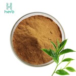 Cosmetics Raw Materials