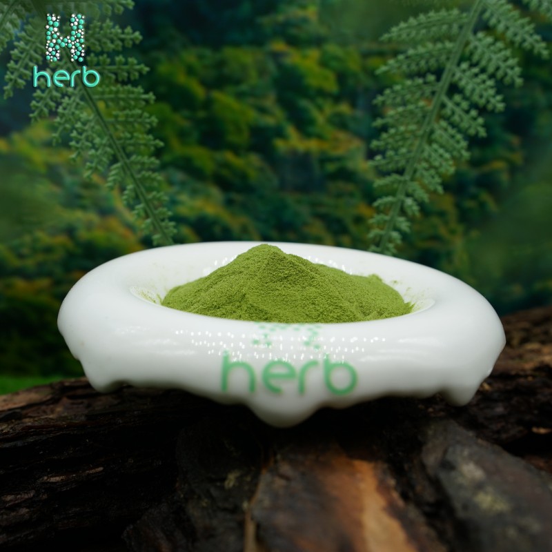 Organic Moringa Powder Manufacturer - OEM/ODM Factory Supply High Quality Moringa Oleifera Leaf Extract