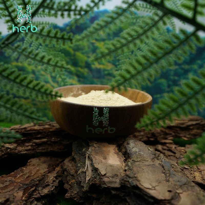 Ginseng Extract Manufacturer - OEM/ODM Best Price 80% Ginsenoside Supplement