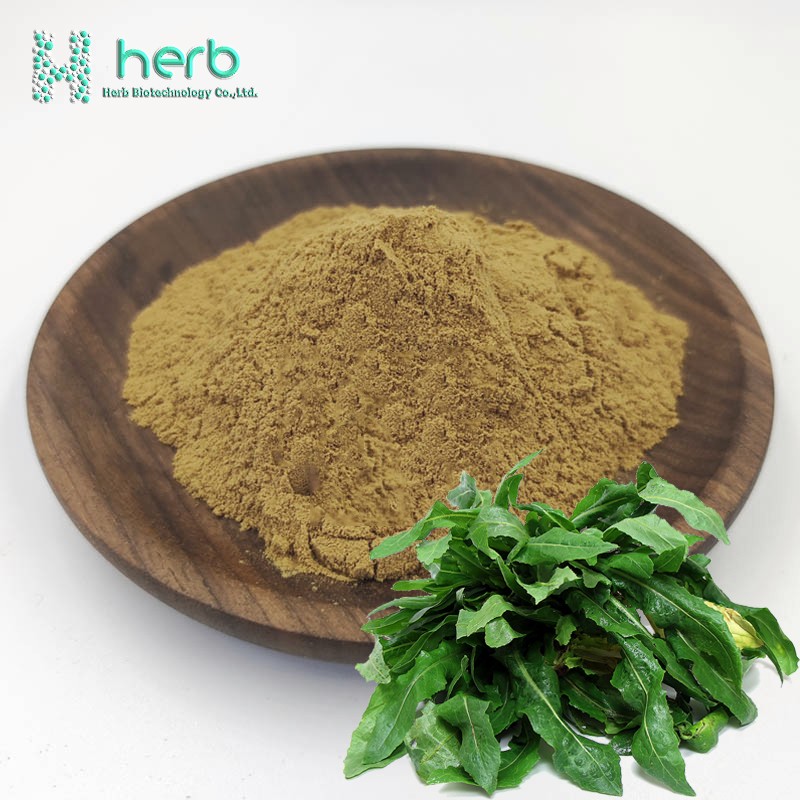 Lactuca Virosa Extract Powder Manufacturer - OEM/ODM Factory Supply Bulk Price 10:1 Wild Lettuce Extract
