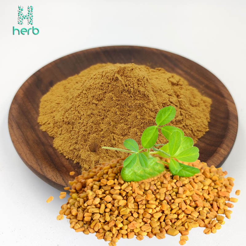 Fenugreek Seeds Extract Powder Manufacturer - OEM/ODM High Quality Pure 50% Saponins Fenugreek Powder