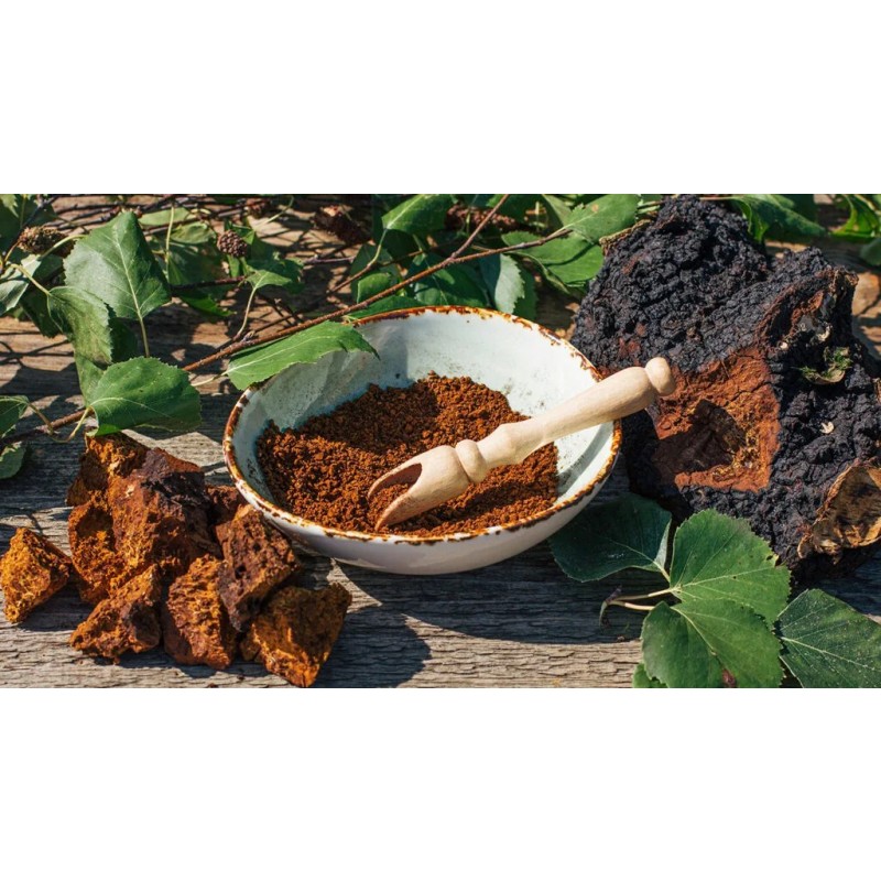 Organic Chaga Mushroom Extract Powder Manufacturer - OEM/ODM GMP Water Soluble Supplement