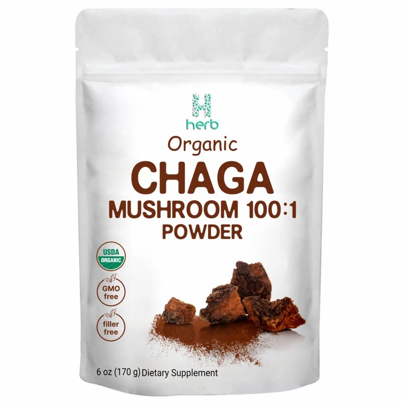 Organic Chaga Mushroom Extract Powder Manufacturer - OEM/ODM GMP Water Soluble Supplement