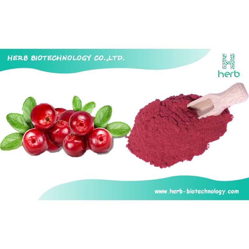Organic Cranberry Extract Powder Manufacturer - OEM/ODM Wholesale 5% 10% 15% 25% PAC Supplement