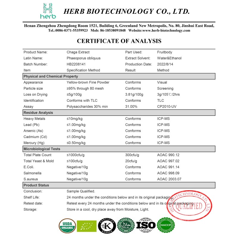 Organic Chaga Mushroom Extract Powder Manufacturer - OEM/ODM GMP Water Soluble Supplement