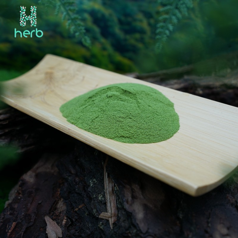 Organic Moringa Powder Manufacturer - OEM/ODM Factory Supply High Quality Moringa Oleifera Leaf Extract