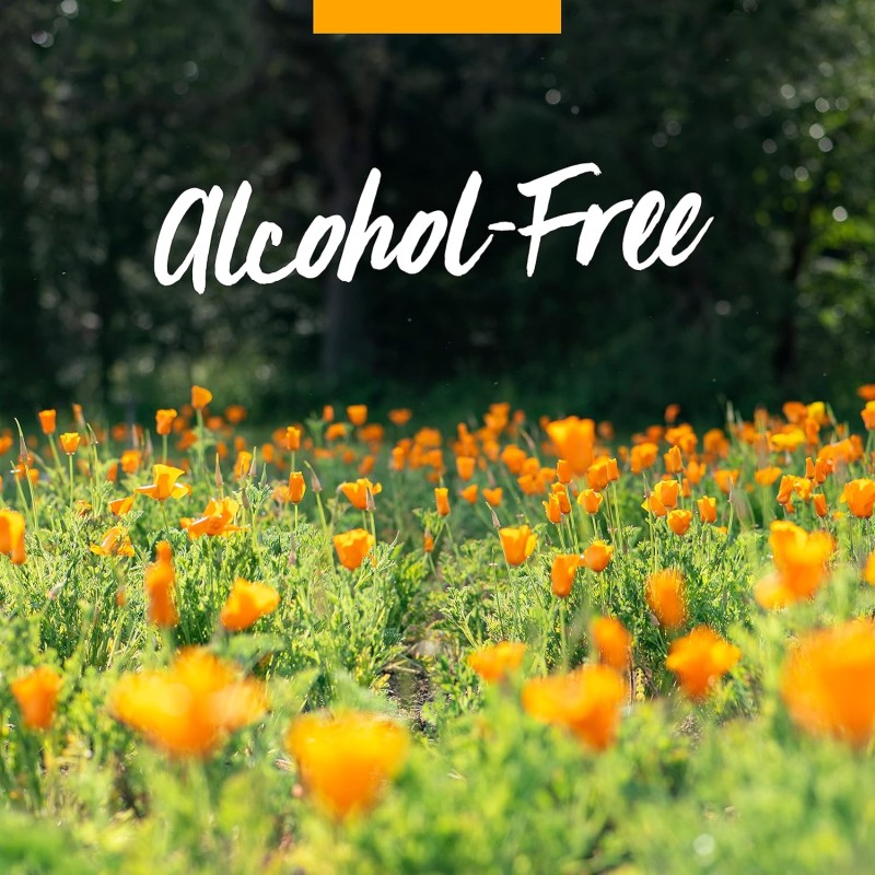 Kids Immune Drops Manufacturer - OEM/ODM Certified-Organic Alcohol-Free Liquid Herbal Formula for Immune Fortifier