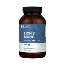 ODM/OEM Lion's Mane Capsules Manufacturer - Private Label Natural Extract Supplement for Immune Support