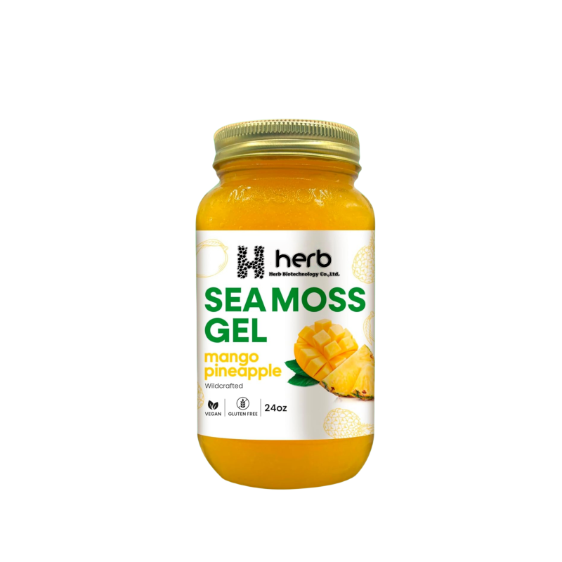 Sea Moss Gel Manufacturer - OEM/ODM Raw Pineapple Flavored Irish Seamoss Gel (For Immune & Digestive Support)