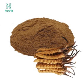 Cordyceps Extract Powder Manufacturer - OEM/ODM High Quality Cordyceps CS-4 Militaris Sinensis Supplement