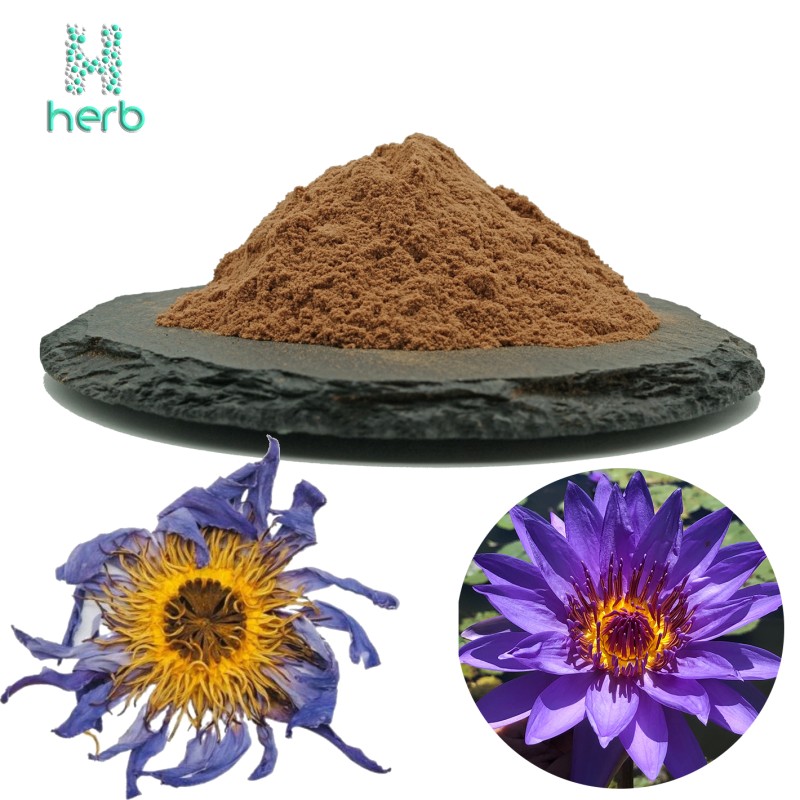 Blue Lotus Flower Extract Powder Manufacturer - OEM/ODM Hot Sell Dried Nymphaea Tetragona Lotus Leaf Flower Extract
